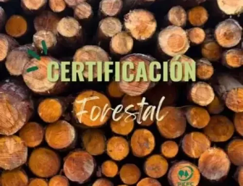 Nuevo Sistema Español de Certificación Forestal