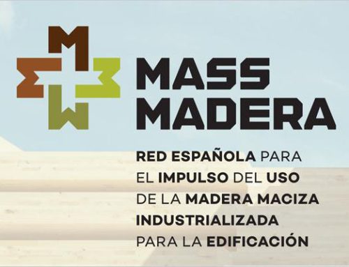 Informe 2025 MASS Madera. Madera Maciza para edificar
